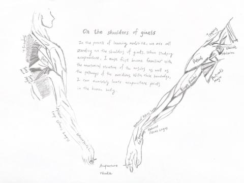 G5-110030011.jpeg
